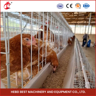 4-6 Kuşlar Tavuk Katman Kafesleri Sıcak Dip Galvanize Finish Star ile