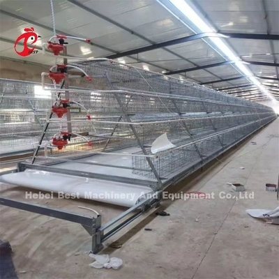H Tipi Otomatik H Tipi Broiler Tavuk Kafes Video Kurulum Çıkış Denetimi Sağlandı Gül