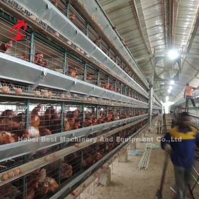 Yarım Otomatik Katmanlı Kafes Sistemi 2.2m X 2.4m X 1.95m Tavuk Çiftliği Iris için