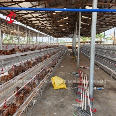 2.2m X 2.4m X 1.95m Katman Pil Kafes Sistemi 4 Katman 160 Kapasite Sandy