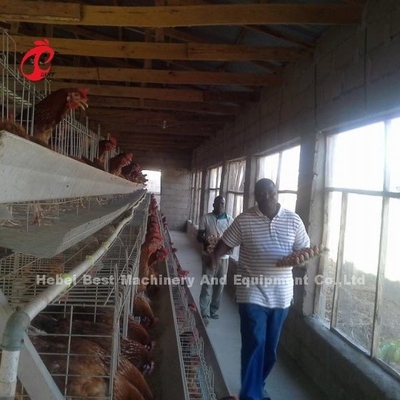Yarı Otomatik H Tipi Batarya Kafes Sistemi