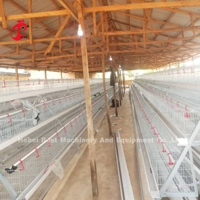 Yarı Otomatik A Tipi Batarya Kafes Sistemi Katman Yumurta Gönderen Ada için Besleme Arabası