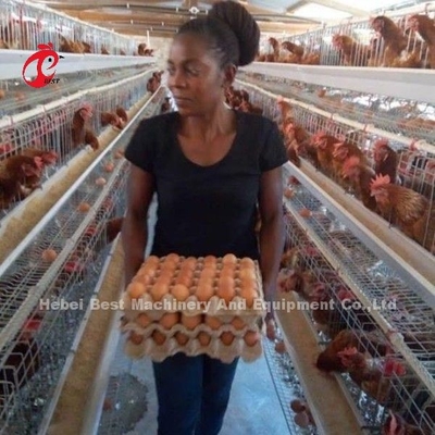 4 Kuşlar/Hücre Katmanlı Çiftlik Yıldızı için Sıcak Dip Galvanize Pil Kafes Sistemi