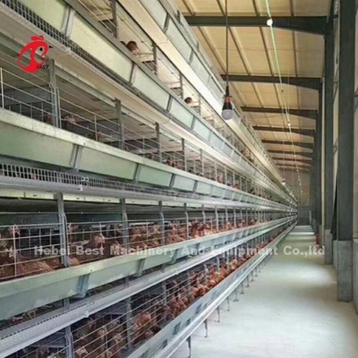 Modüler Tavuk Kafesleri Sistemi Katmanlı Çiftlikler İçin Sıcak Dip Galvanize Pil Kafes Kapasitesi 96-200 Kuşlar Sandy