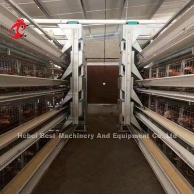 Otomatik Katman Pil Kafes Sistemi H Çerçeve 30000 Kuş için Tavuk Çiftliği Emily Wang