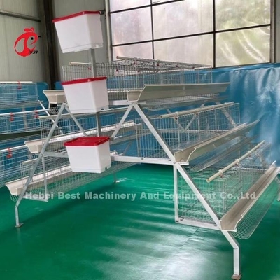 96-200 Kuş Kapasitesi Nijerya'da Beyaz Katman Kafes Sıcak Dip Galvanize Çelik Yıldız