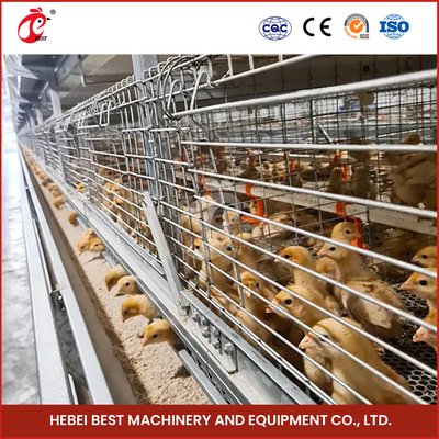 2,8-3,5 mm çapında kafes teline sahip galvanizli tavuk yetiştirme kafes sistemi Mia