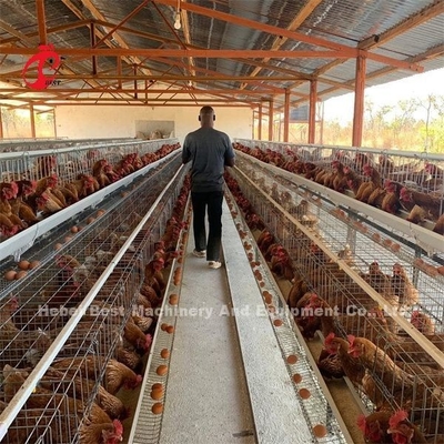 Kümes Hayvanları Yetiştiriciliği Kafes Sistemi A Tipi 3 4 Katlı Yumurta Yumurta Kafesi Tavuk Emily