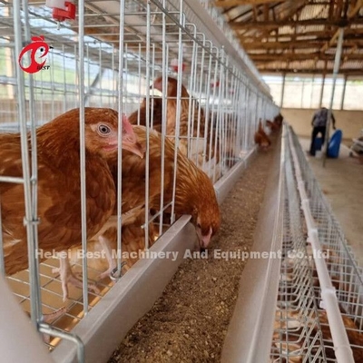 Çin Fabrikası Pil Katmanı Kafesi Afrika Pazarı İçin Kümes Hayvanları Ekipmanları ile 5 katmanlı Sandy