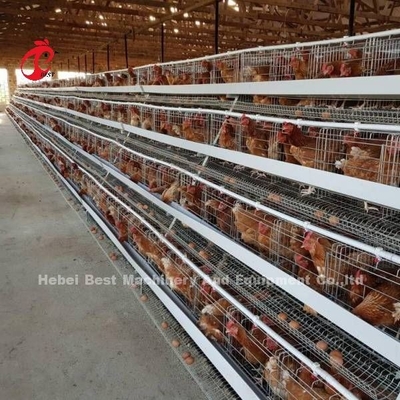 Kümes Hayvanları Yetiştiriciliği Kafes Sistemi Galvanizli Yumurta Yumurta Kafesi Afrika'da 40 Kapı Adela