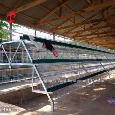 Kümes Hayvanları Çiftliği için Sıcak Daldırma Galvanizli Katmanlı Pil Kafes Sistemi Q235 Çelik Emily