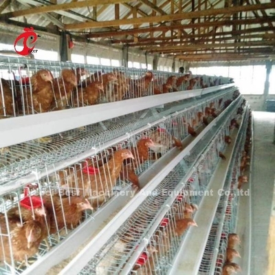 Kümes Hayvanları Yetiştiriciliği Kafes Sistemi Galvanizli Yumurta Yumurta Kafesi Afrika'da 40 Kapı Adela