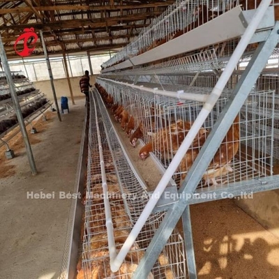 Otomatik Tavuk Katmanı Broiler Çiftlik Kafes Sistemi İçme ve Besleme Ekipmanı Adela