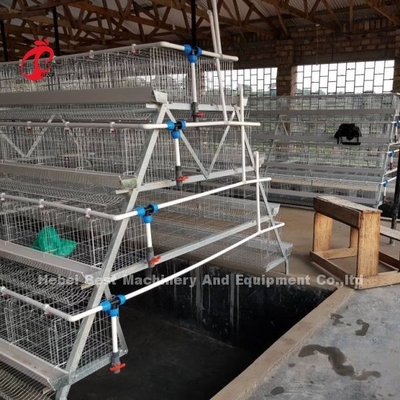 Kümes Hayvanları Yetiştiriciliği Kafes Sistemi Galvanizli Yumurta Yumurta Kafesi Afrika'da 40 Kapı Adela
