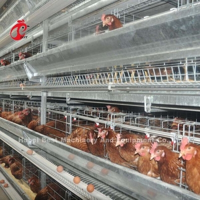 Yarı Otomatik Kanatlı Yumurta Kafesi Besleme Sistemi 1.5KW 380V Doris