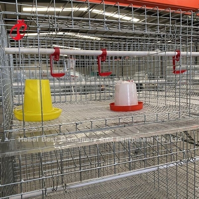 Tavuk Çiftliği Broiler Tavuk Kafesi 3 Katlı, Piliç Doris İçin A Tipi Pil Kafesi
