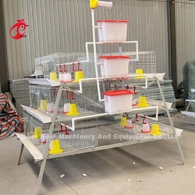 Bir Tür Broiler Pil Kafesleri Galvanize Yüksek Güçlü Tavuk Broiler Kafesleri Iris
