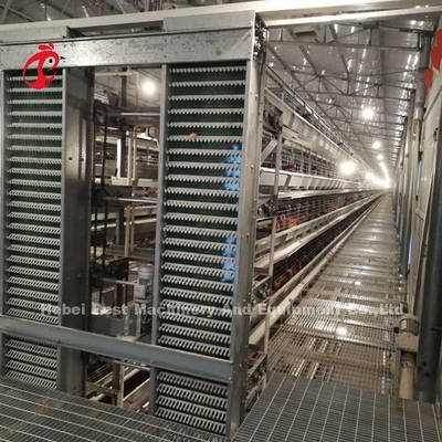 Özel Otomatik Yumurta Toplama Besleme Hopper Sistemi 30.000 Tavuk Çiftliği Doris için
