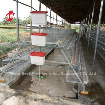 AH tipi Otomatik Yumurta Tavukçuluk Ekipmanları Damızlık Tavuk Kafesi Sistemi Sandy