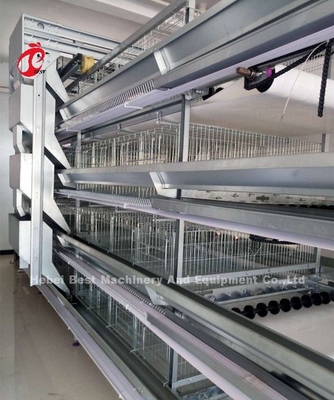 AH tipi Otomatik Yumurta Tavukçuluk Ekipmanları Damızlık Tavuk Kafesi Sistemi Sandy