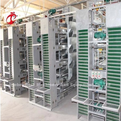 Modern Tasarım Pil Katmanı Kafes H Tipi Tavuk Çiftliği Kafes ISO14001 Emily
