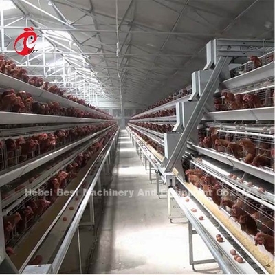 Afrika Pazarında AH Tipi Otomatik Yumurta Tavuk Kümes Hayvancılığı Kafes Sistemi Iris