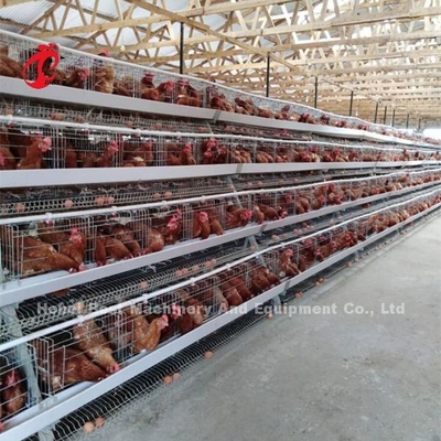 Kafes Örgü İris ile Toughness House Design Döşeme Tavuk Pil Kafes Sistemi
