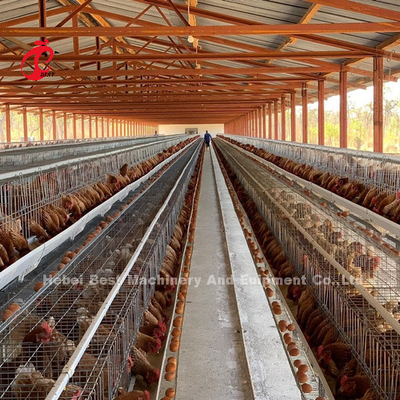 Galvanizli yüzeyli 120 kafesli otomatik pilli tavuk kafes sistemi Adela