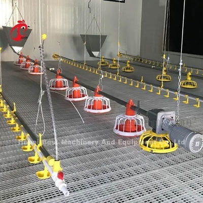 Yerden Beslemeli Tava İçme Sistemli Otomatik Broiler Tavuk Kafesi Emily
