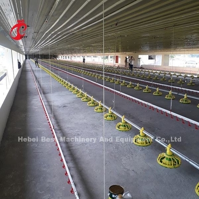 Yerden Beslemeli Tava İçme Sistemli Otomatik Broiler Tavuk Kafesi Emily