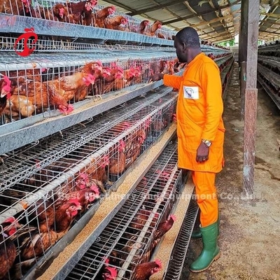 Galvanizli Tavuk Katmanı Kafes 3 Katman 120 Kuşlar Ve 4 Katman 160 Kuş Katmanı Çiftlik Kafesleri Kumlu