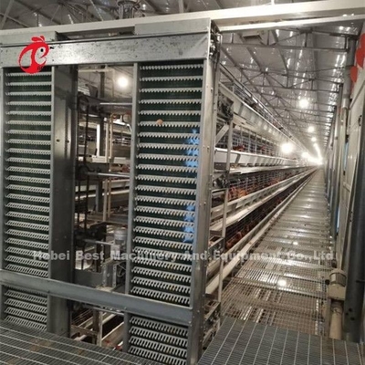 Uzun Ömürlü Nijerya Sandy ile Otomatik Kanatlı Pil Kafes Sistemi Kaplı Tel