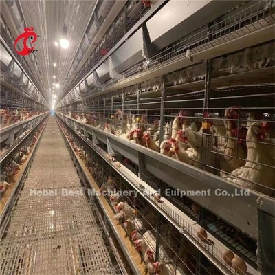 144 Kuş Kapasitesi H Tipi Tipi Ticari Tavuk Mia için Katmanlı Kafes