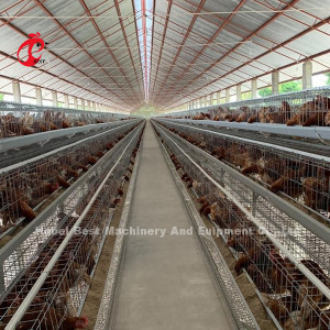 Yumurta Tavukları İçin En İyi Katman Kümes Hayvanları Çiftliği Tavuk Kafesi 4 Katlı Mia