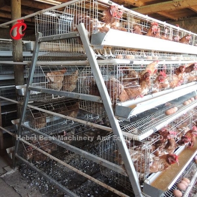 Toptan Fabrika Fiyatı Q235 Kanatlı Katman Kafesi, Pil Kafes Sistemi 256 Kuş Yıldızı