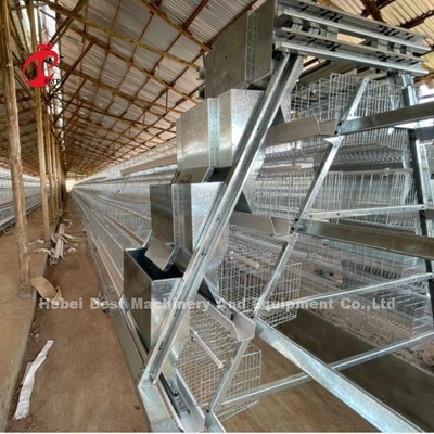 Galvanizli Tavuk Çiftliği Nijerya'da Popüler Gül