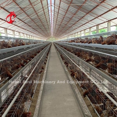 Çin İhracat Kalitesinde Pilli Broiler Tavuk Kafesi Otomatik Nijerya Yıldızı