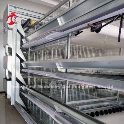 Komple H Tipi Otomatik Katman Tavuk Pil Kafesleri 500 Kuş Adela