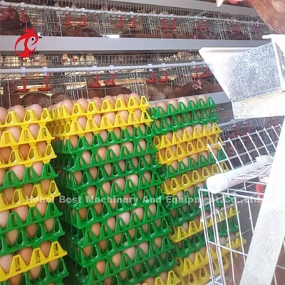 Katman Kafesi Otomatik Kümes Hayvanları Yetiştiriciliği Kafes Sistemi Popüler Yüksek Kaliteli Yumurta Katman Kafesleri Gül
