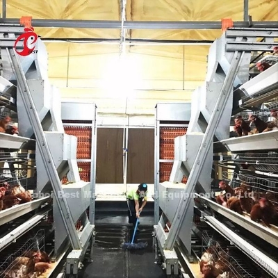 Büyük Çiftlik Adela İçin Tam Otomatik A Tipi Katmanlı Tavuk Pil Kafesi