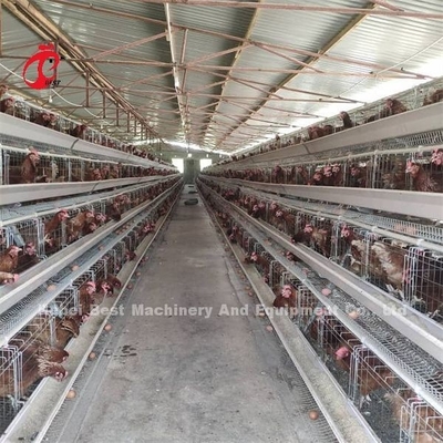 Ucuz Otomatik Pil Kafes Sistemi Sıcak Galvanize 25 Hayat Süresi 450cm2 Nijerya'da Emily