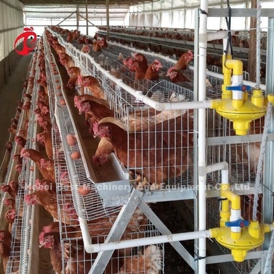 Nijerya'da 4 Katlı Tavuk Pil Kafesi Fiyatı, 5 Kapılı Tavuk Katman Kafesi Gülü