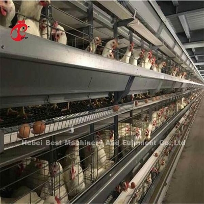 Ticari Tavuk Mia İçin Yaygın Olarak Kullanılan Demir Tel Kanatlı Katman Kafesi