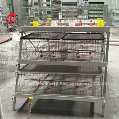 Yerden Tasarruf Kümes Hayvanları Broiler Tavuk Kafesi Afrika'da Düşük Karbonlu Çelik Tel Adela