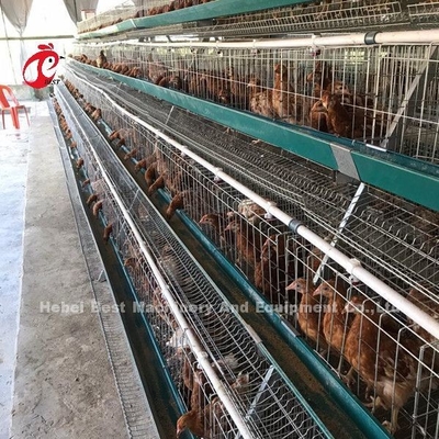 Elektrikli Galvanizli Katmanlı Tavuk Çiftliği Kafesi Pas Önleyici Katmanlı Pil Kafesleri Emily