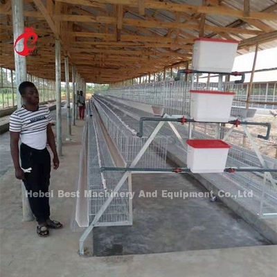Galvanizli yüzeyli 120 kafesli otomatik pilli tavuk kafes sistemi Adela