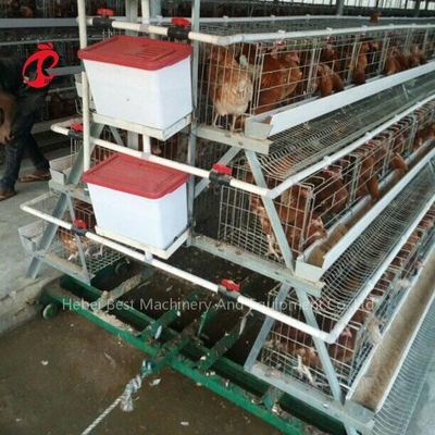 Kafes Sistemi Kanatlı Gübresi Sıyırıcı Gübre Temizleme 3 çeşit İris