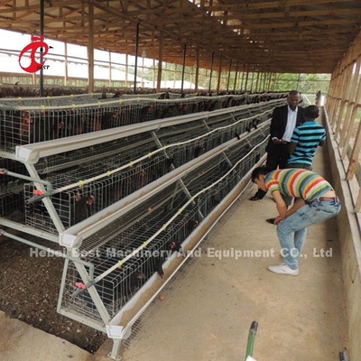 A Tipi 3 Katlı Piliç Piliç Kafesleri 120 Birds 450cm2 Yıldız