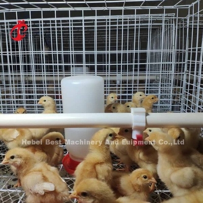 Tavuk Çiftliği Ekipmanı H Tipi Pil Tavuk Kafes Sistemi Broiler Mia için