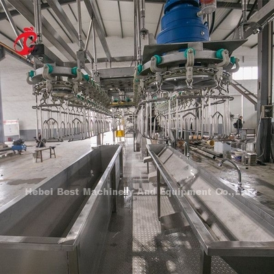 220V Broiler İşleme Sistemi 4kw, Ss 304 Tavuk Kesim Ekipmanı Doris